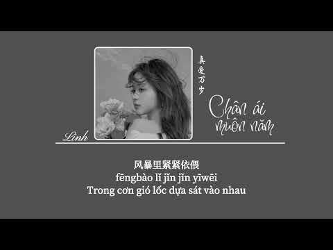 [Vietsub] Chân ái muôn năm • Hi Lâm Na Y Cao ♪真爱万岁 • 希林娜依高