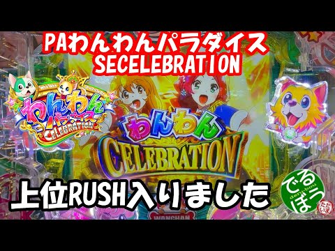 10月14日　パチンコ実践　PAわんわんパラダイスSECELEBRATION　ようやく入った上位RUSH　継続率90％　さぁ何連するのか？