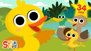 Ducks! Ducks! Ducks! 🦆 | Quacky Kids Songs | Super Simple Songs