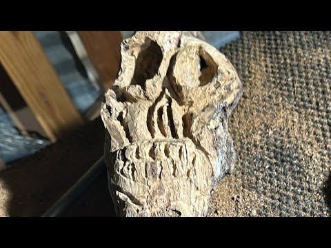 I Made An Oak Skull Wood Carving!