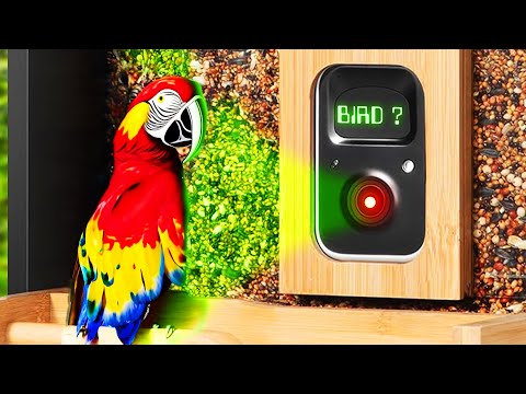 EVERYTHING Has AI Now... Birdfy Bird Feeder Review