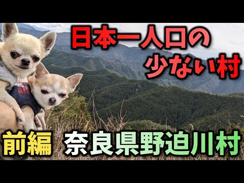 日本一人口の少ない村。野迫川村に行ってみた。前編。（奈良県、野迫川村、廃校、廃屋、立里荒神社、高野豆腐伝承館、過疎、限界集落、チワワ、スムチー、スムースチワワ、スムースコートチワワ、犬と旅）