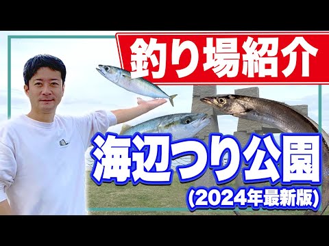 【横須賀海辺つり公園】この春上京した釣り人必見！太刀魚/大サバ/尺アジ/イナダを狙うならココ！