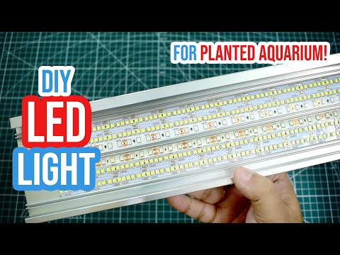 DIY Aquarium Light: Create Your Planted Aquarium LED Light at Home!