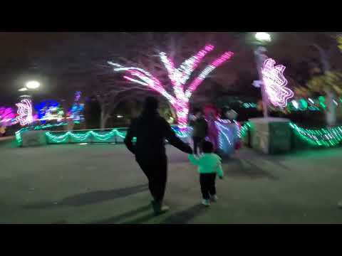 Dallas Zoo Lights