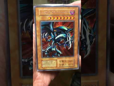 遊戯王　レッドアイズブラックメタ　　　　　　　　　　　　　タルドラゴン