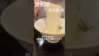 新名古屋名物！？6食限定の特大平麺知ってる？ #udon #栄