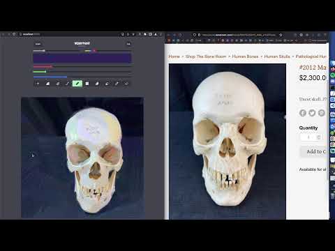 Skull digital painting session | WEBBYPAINT #4