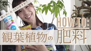 【観葉植物＊肥料の与え方】基本のキ!!愛用品の使い方を徹底的にご紹介＊