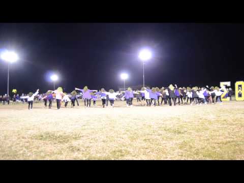 Siggie Champ Intramural Football Joker Halftime