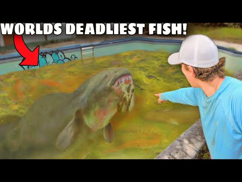 I Caught The Worlds DEADLIEST Fish in an Abandoned Pool!