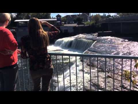 Brooker at Fenelon Falls