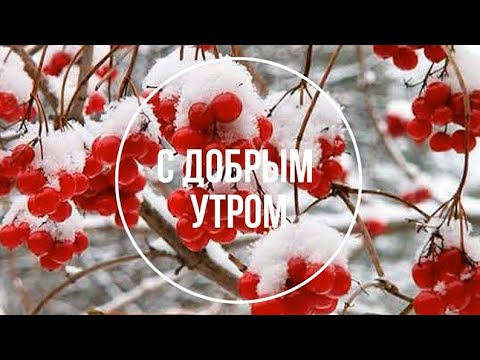 С Добрым Утром! Доброе Утро! Зимнее Утро! Настроение Пожелание Открытка