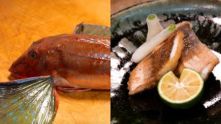 How to Fillet and Fry Red Gurnard【English subtitles】