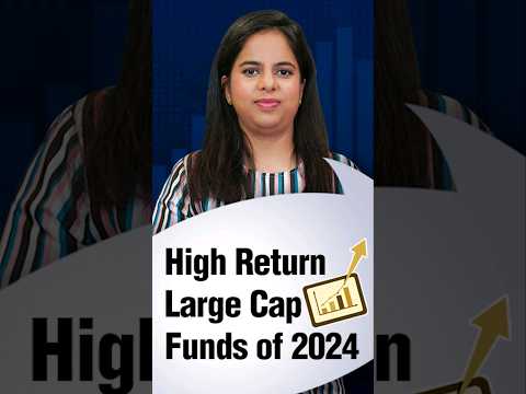 5 Top Performing Large Cap Funds of 2024