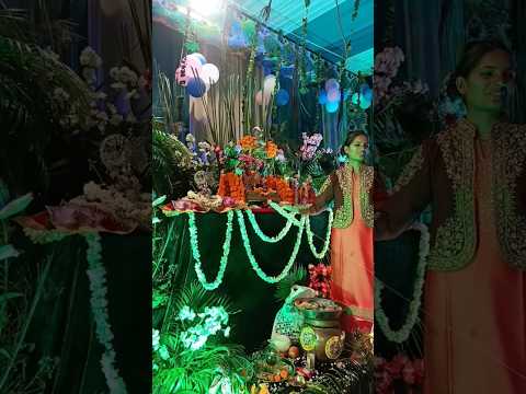 Shayama Ka Rang Chad Gaya Song || Janmashtami Celebration 2024 || #janmashtami #govinda #krishna #yt