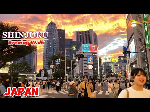 [4K] 新宿の本当の美しさ || Shinjuku City Walking || Tokyo, Japan ||