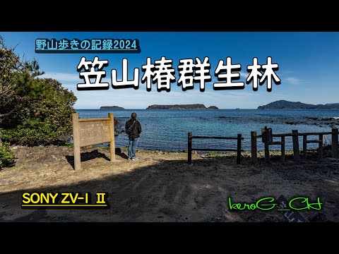 【笠山椿群生林】野山歩きの記録2024