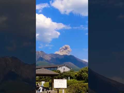 Mt. Sakurajima has a mini eruption. #japan #kagoshima #sakurajima  #eruption #volcano #shorts