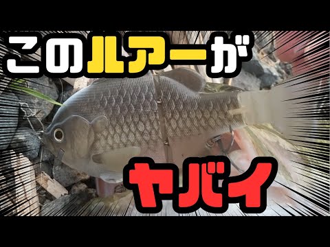 河口湖のデカバスを狂わせるルアーがこちら【ブルシューターJr.シャダーテール】　#バス釣り