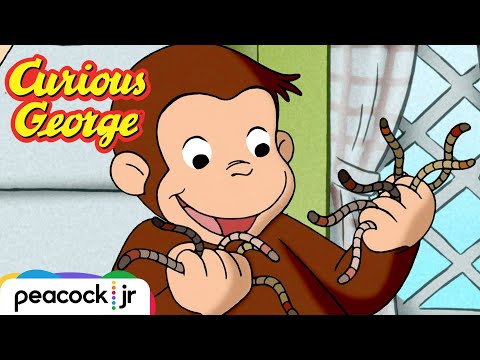 George's Wiggly Worm Race! | CURIOUS GEORGE