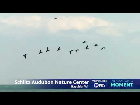 Milwaukee PBS Presents | Inspirational Moments | Schliltz Audubon Nature Center