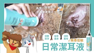 【臭味滾寵物專用】超簡單五步驟，教你如何正確清潔毛孩耳朵｜無香低敏日常潔耳液