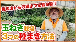 家庭菜園の玉ねぎ栽培で種蒔きから収穫まで密着！3つの種まき方法を徹底解説！自分に合った方法で玉葱栽培を成功させよう！【農園ライフ】