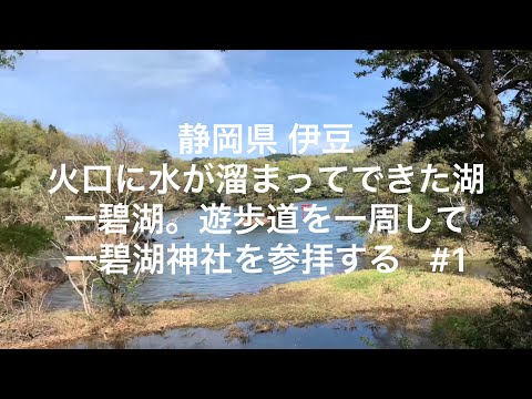 【静岡】【伊豆】火口に水が溜まってできた湖、一碧湖。遊歩道を一周して一碧湖神社を参拝する #1【shizuoka】【izu】