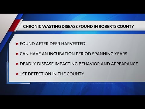 Chronic Wasting Disease detected in white-tailed deer in Roberts County