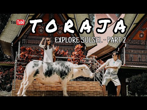 Mau lihat KERBAU SEHARGA RUMAH ? Unforgettable moment at Toraja- Explore Sulsel Part 2