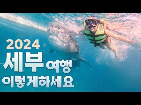 세부 여행 코스 딱 정리합니다! (오슬롭 고래상어, 모알보알, 캐녀닝, 막탄, 세부시티)