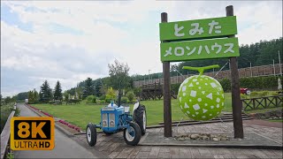 4K 8K Lavender Field at Farm Tomita in Furano City, Hokkaido 2022