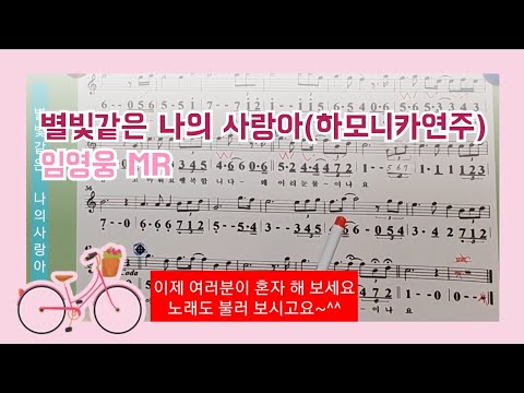 별빛같은 나의 사랑아  (임영웅) 하모니카연주