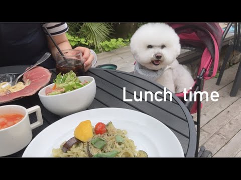 ふわりとオシャレカフェでランチ☺️ ｰビションフリーゼ犬ｰ