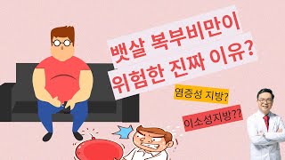 뱃살 즉 복부비만이 위험한 이유는 이소성지방과 염증성지방의 2가지 특성때문이다