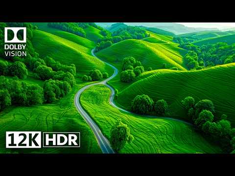 Bird's Eye View DOLBY VISION 12K HDR 120 FPS - Any Place Looks Beautiful (BGM)