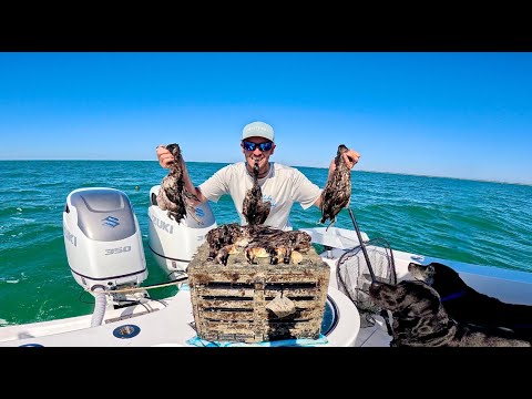 DUCKS AS STONE CRAB BAIT?! SHOCKING RESULTS!! CATCH CLEAN COOK