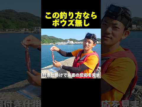 絶対にボウズにならない釣り方#釣り#福岡釣り#大島釣り