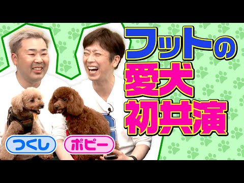 【APチャクラ企画】フットの愛犬を小籔のライカで撮ってもらおう