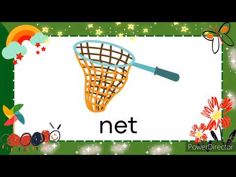 Letter Nn | Letter Sounds | Alphabet | Phonics | Read and Learn Words that Start with Nn