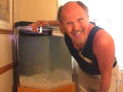 Garden of Eels and Seahorses, LA Fishguys, Episode 70, Part 4