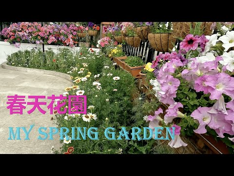 春天花園  My spring garden - {種花篇 Gardening}