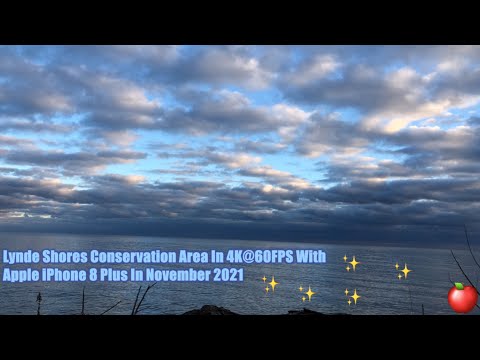 Lynde Shores Conservation Area In 4K@60FPS With Apple iPhone 8 Plus In November 2021