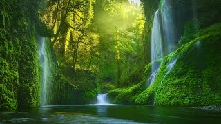 Soothing music for nerves, healing music for the heart and blood vessels 🌳🌲 Relaxing Piano Music