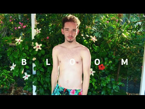 Troye Sivan - Bloom (SIWEL Cover)