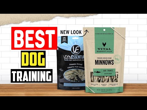 ✅Top 5 Best Dog Training Treats, From Healthy to High Value in 2024