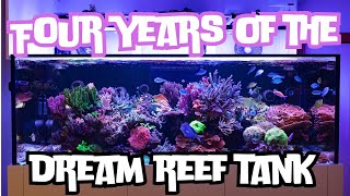 Four Years of the Dream Reef Tank!!!