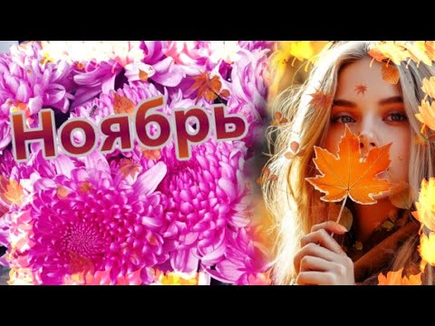 Добро пожаловать в Ноябрь!Месяц поздней осени#ноябрь🍁