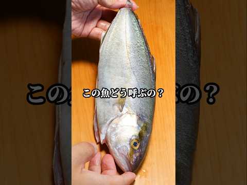 出世魚じゃないのにカンパチの呼び方なんと呼ぶのが正解？？